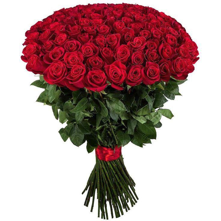 Velvet Blossom Symphony Arrangement